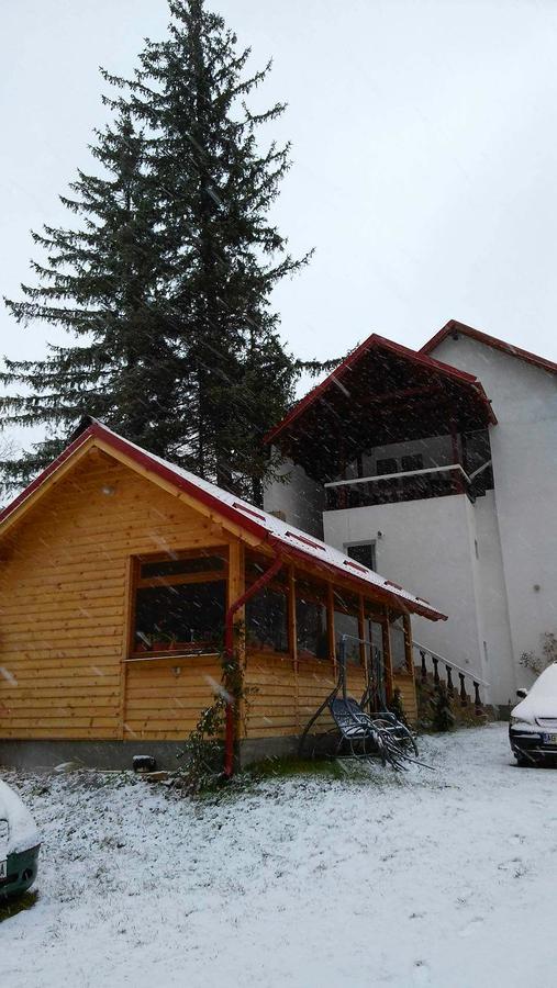 Casa Krista Hotel Bran  Exterior photo